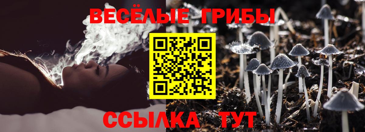 Псилоцибиновые грибы GOLDEN TEACHER  Вход с VPN  Верхний Уфалей 